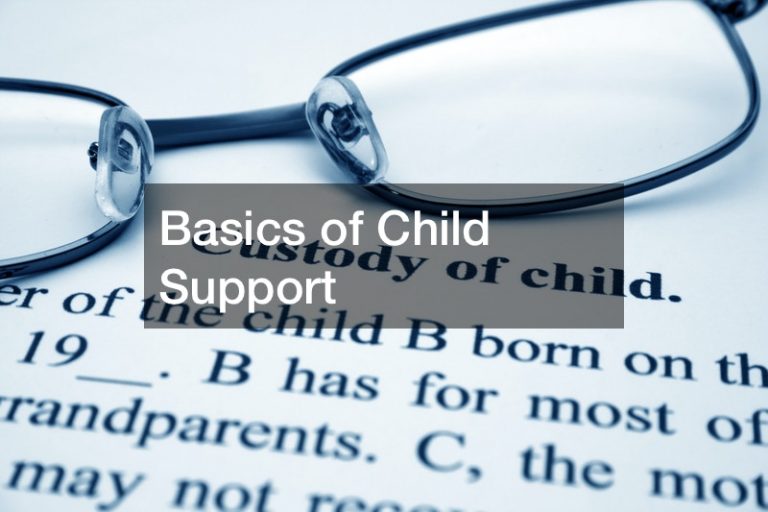 Basics of Child Support
